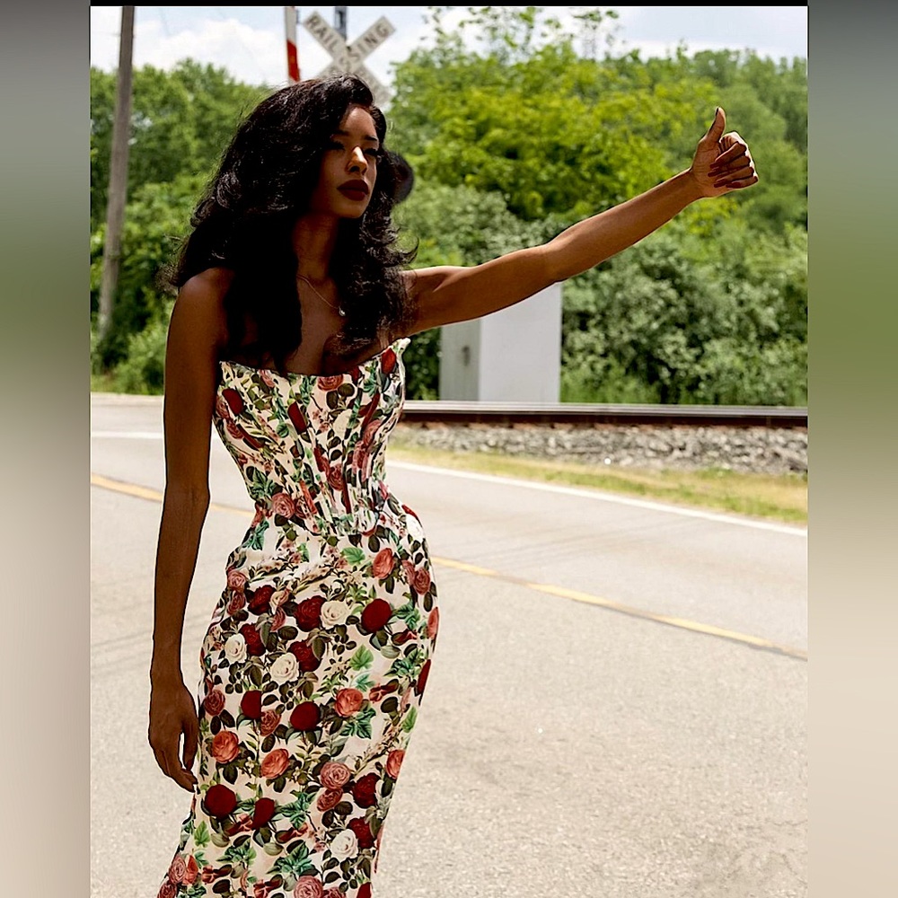 🌹✨ISO ✨🌹House of Cb Vintage floral Malika Gown in L or XL